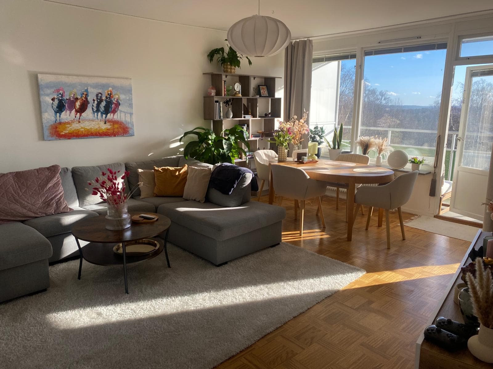 Doktor Forselius Backe